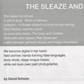 The Sleaze and Found Material David Scheier